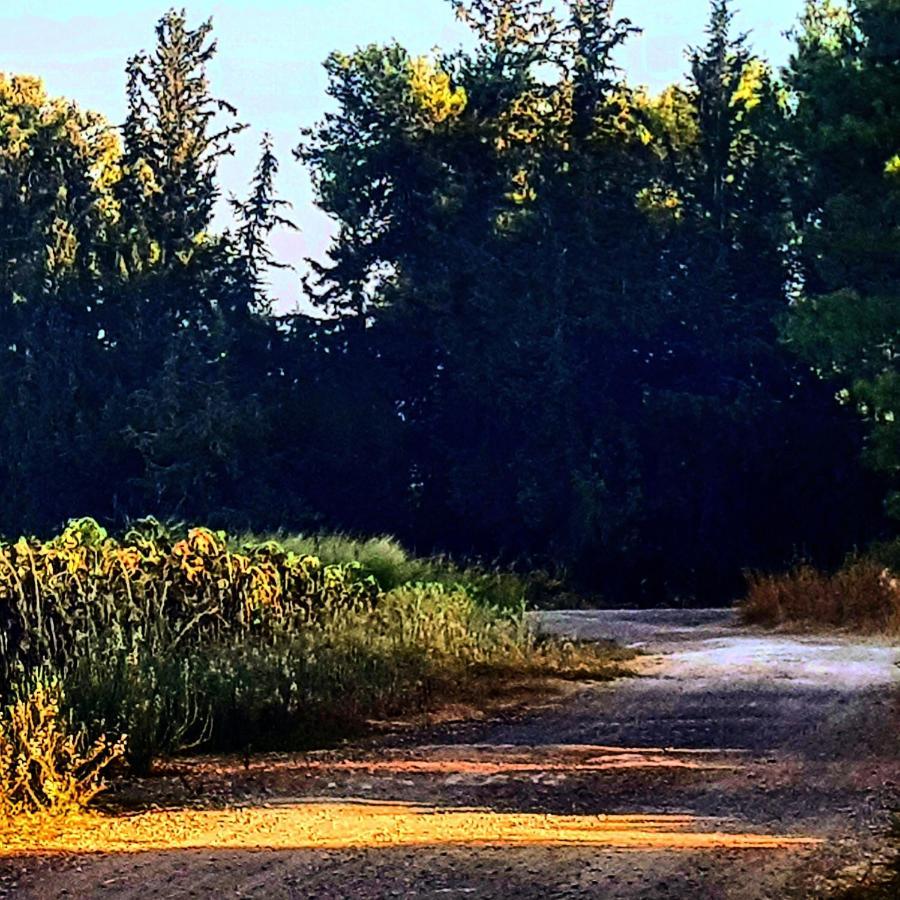 مبيت وإفطار Kibbutz Nachshon المظهر الخارجي الصورة