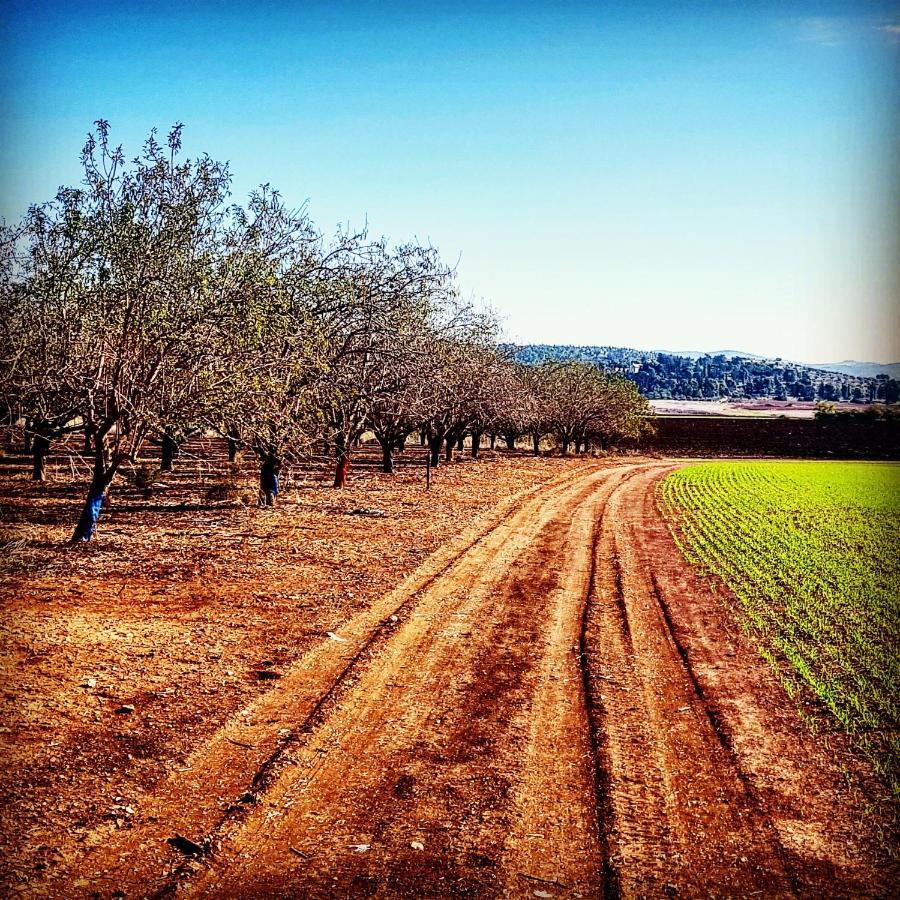 مبيت وإفطار Kibbutz Nachshon المظهر الخارجي الصورة