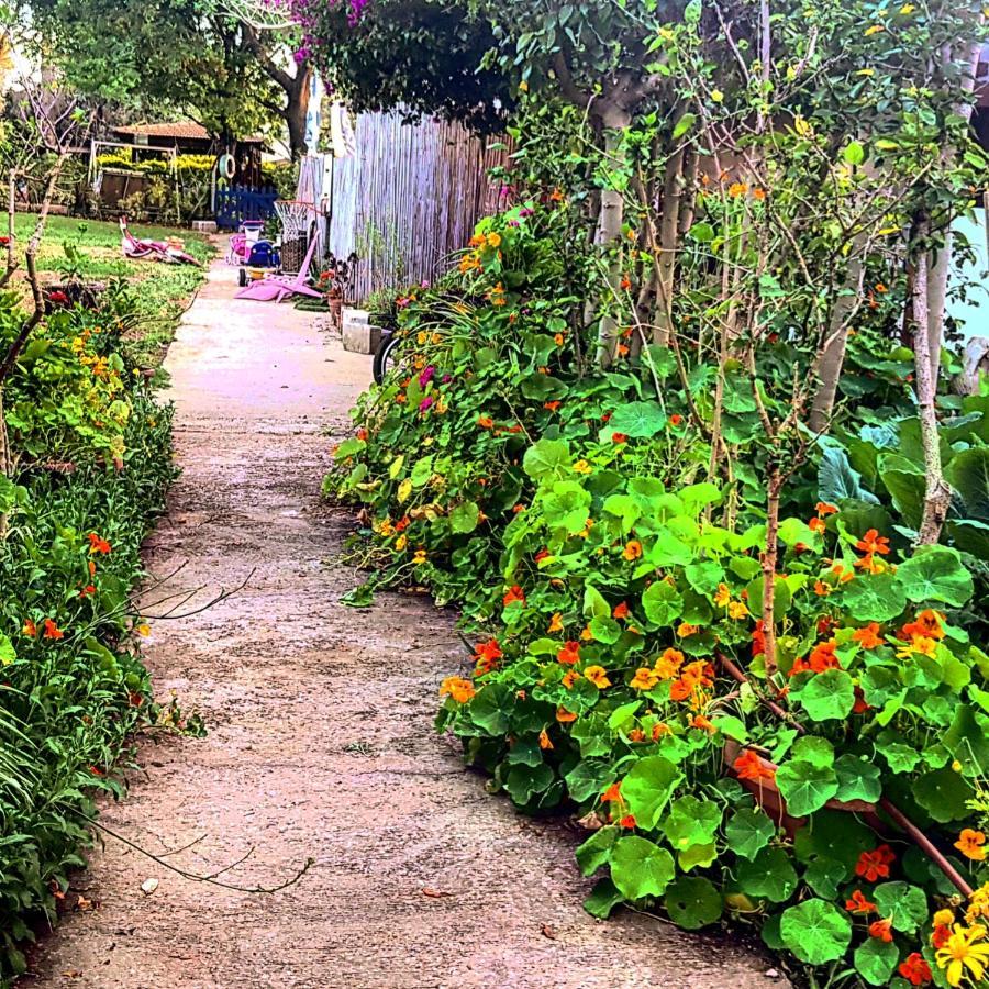 مبيت وإفطار Kibbutz Nachshon المظهر الخارجي الصورة