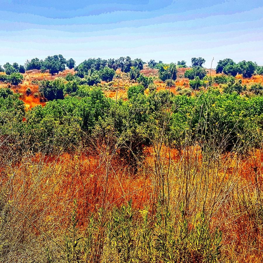 مبيت وإفطار Kibbutz Nachshon المظهر الخارجي الصورة