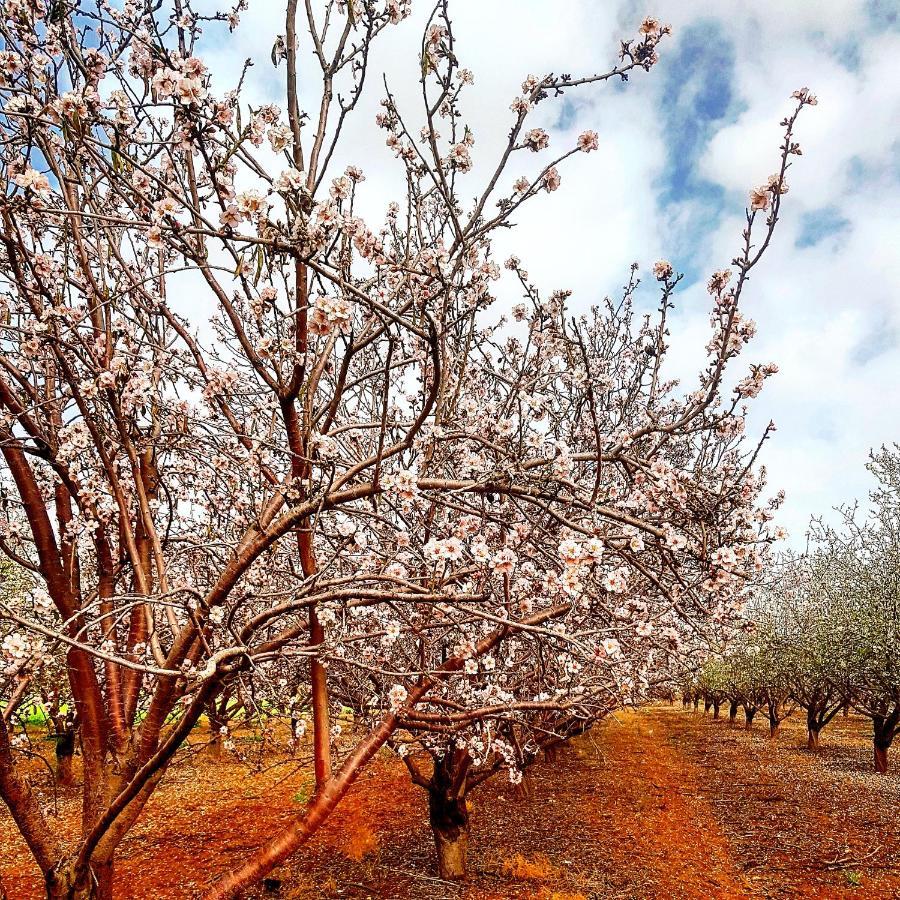 مبيت وإفطار Kibbutz Nachshon المظهر الخارجي الصورة