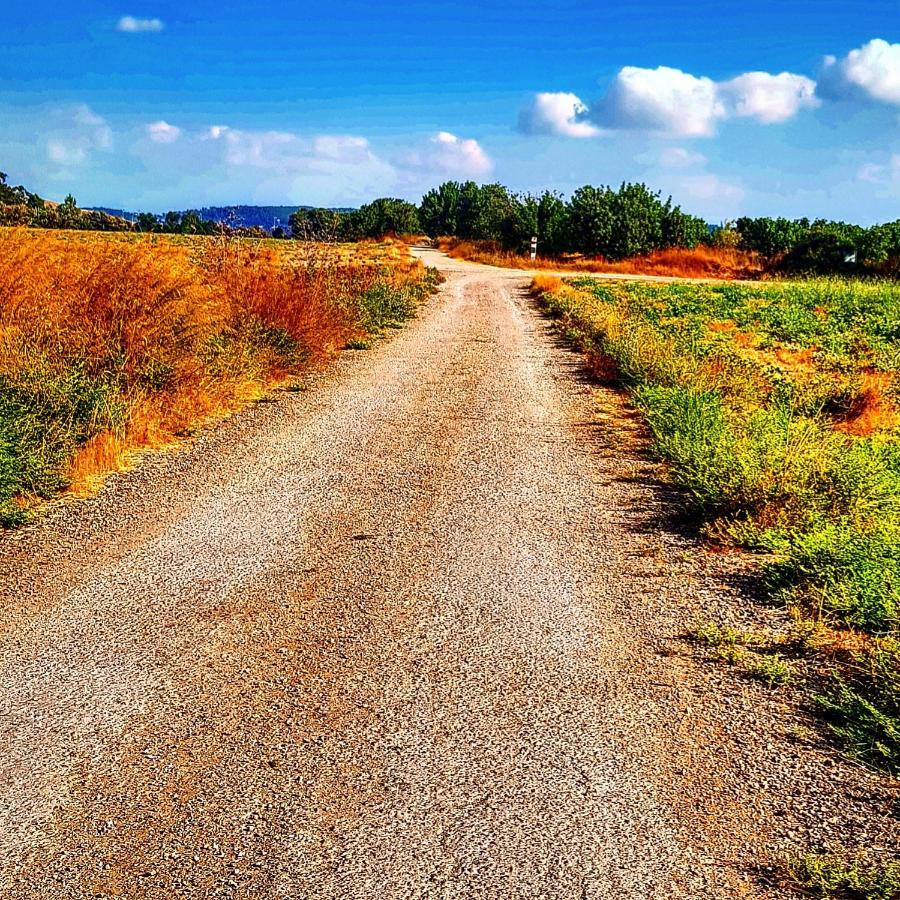 مبيت وإفطار Kibbutz Nachshon المظهر الخارجي الصورة