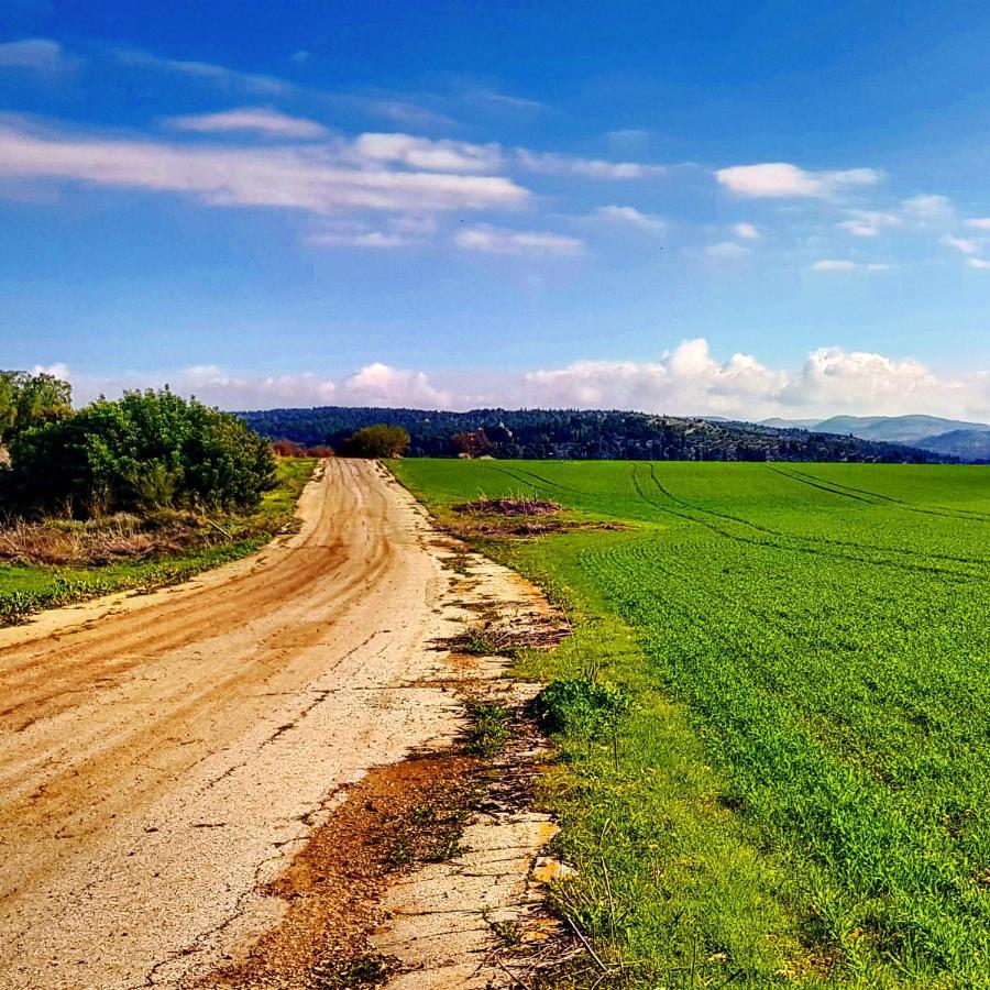 مبيت وإفطار Kibbutz Nachshon المظهر الخارجي الصورة