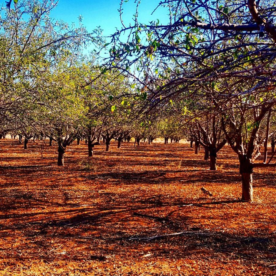 مبيت وإفطار Kibbutz Nachshon المظهر الخارجي الصورة