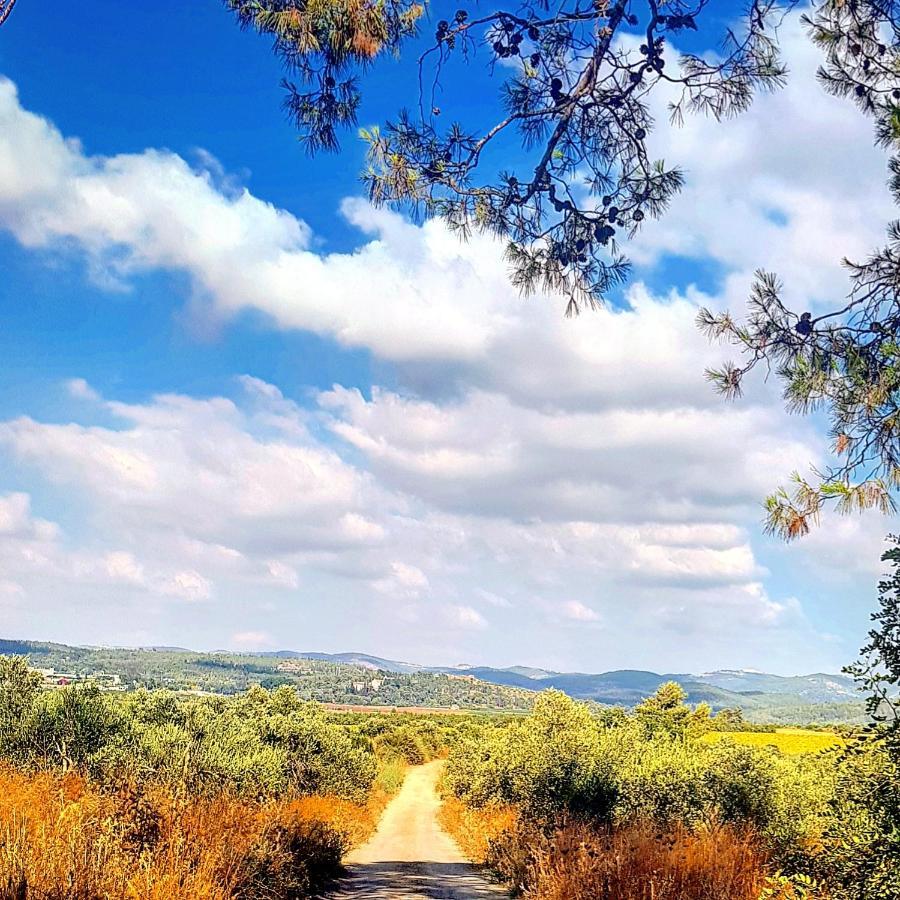 مبيت وإفطار Kibbutz Nachshon المظهر الخارجي الصورة