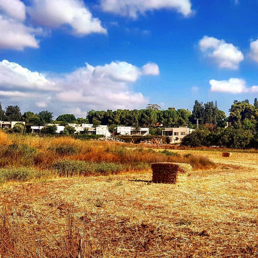 مبيت وإفطار Kibbutz Nachshon المظهر الخارجي الصورة