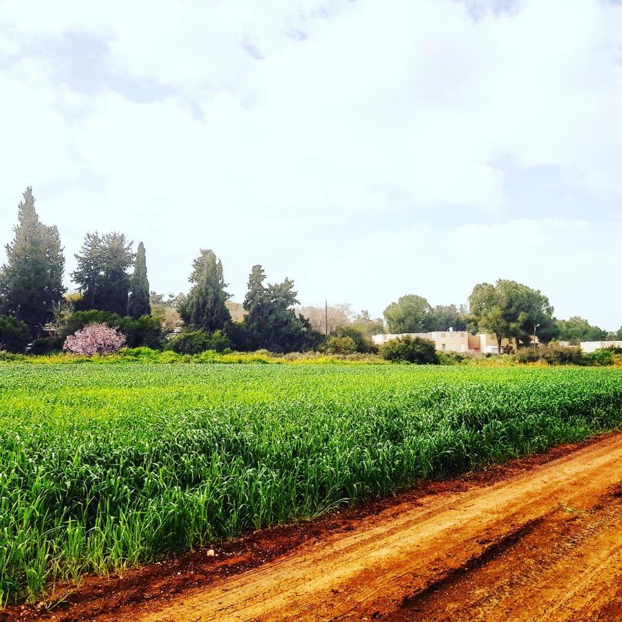 مبيت وإفطار Kibbutz Nachshon المظهر الخارجي الصورة