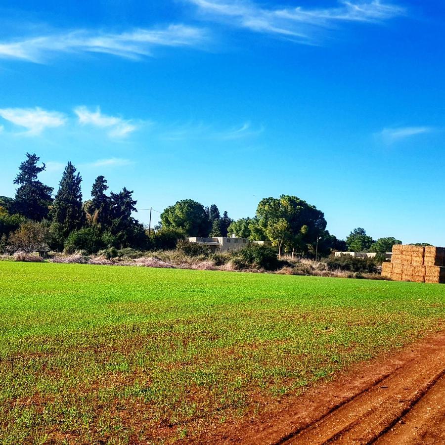 مبيت وإفطار Kibbutz Nachshon المظهر الخارجي الصورة