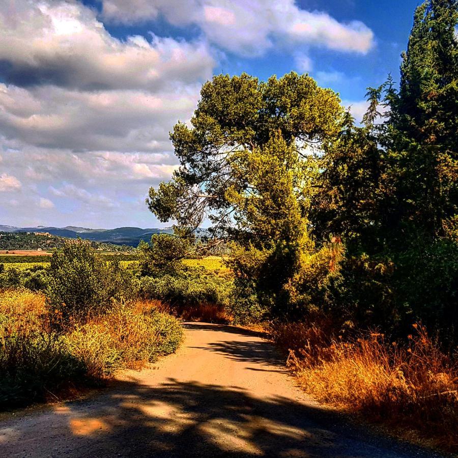 مبيت وإفطار Kibbutz Nachshon المظهر الخارجي الصورة