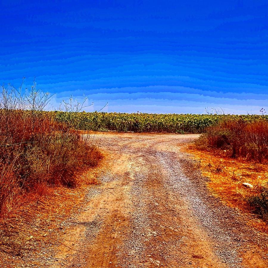 مبيت وإفطار Kibbutz Nachshon المظهر الخارجي الصورة