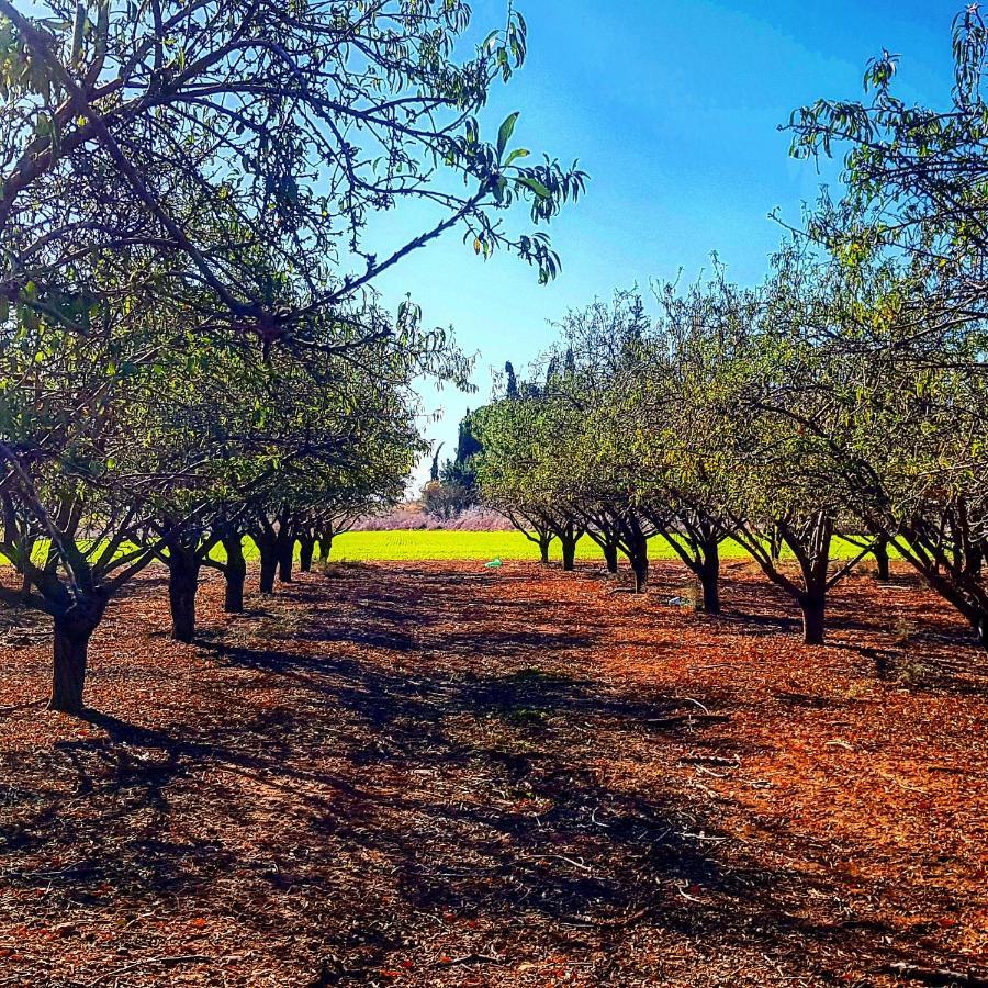 مبيت وإفطار Kibbutz Nachshon المظهر الخارجي الصورة